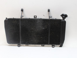 Radiateur Triumph Sprint GT 1050