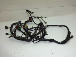 Kabelbaum Suzuki VX 800