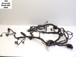 Kabelboom Kawasaki ER 6