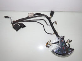 Teller Moto Guzzi California EV