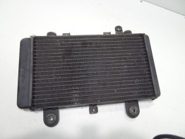 Kuhler Triumph Tiger 900