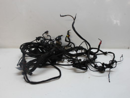 Kabelboom BMW F 800 S - ST