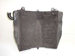 Radiator Suzuki RF 600
