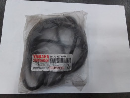 Overig Yamaha FZR 1000