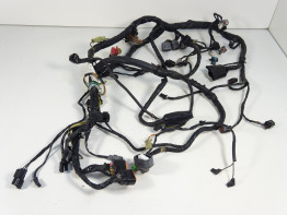 Kabelboom Kawasaki ER 6