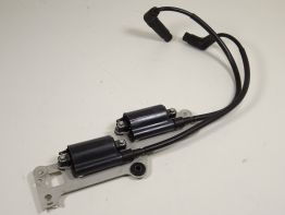 Bobine Aprilia Tuono 1000