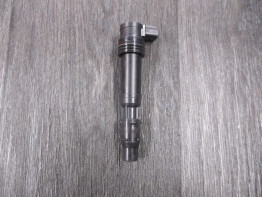 Bobine Triumph Tiger 800 XRT