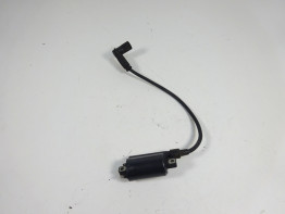 Bobine Ducati monster 600