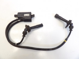 Bobine Suzuki GSX F 600