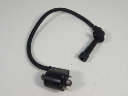 Zundspule Suzuki SV 1000