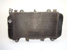 Kuhler Kawasaki ZZR 600