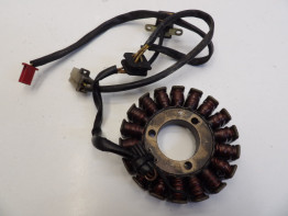 Dynamo Kawasaki ER 5