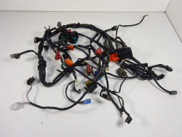 Wire Harness Honda NC 700 S