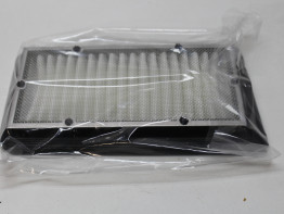 Air cleaner Suzuki Burgman 650