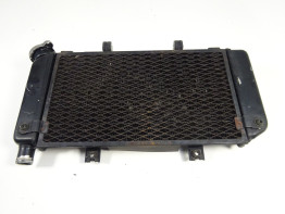Radiateur Yamaha TDM