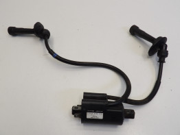 Bobine Suzuki GSF 600 650 Bandit 