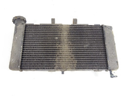 Kuhler Honda NC 700 X