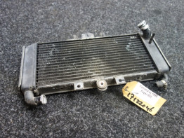 Radiateur Yamaha FAZER 600