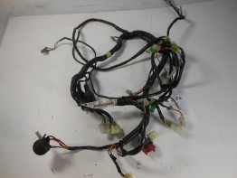 Wire Harness Kawasaki ZZR 250