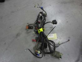 Kabelboom Honda CBF 600