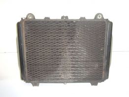 Kuhler Kawasaki GPX 600