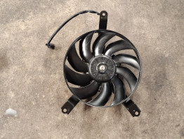 Fan Kawasaki Z 900