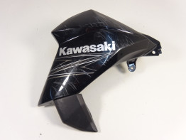Seiten verkleidung links Kawasaki Z 800