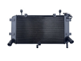 Kuhler Suzuki GSR 750