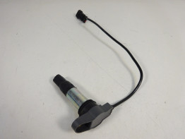 Zundspule Aprilia Dorsoduro 750