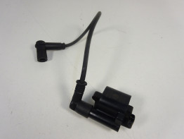 Bobine Ducati monster 696