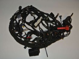 Kabelboom BMW R 1200 R 2011