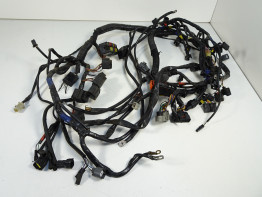 Wire Harness Triumph Sprint ST 1050