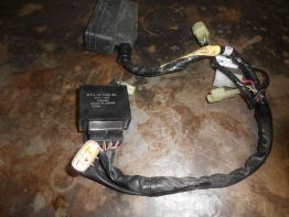 Wire Harness Yamaha FJR 1300