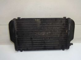 Kuhler Kawasaki EL 250