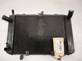 Radiator Suzuki GSR 600