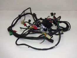 Kabelboom Honda ST 1100 Pan European