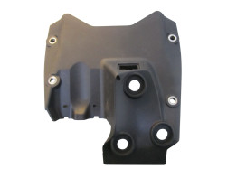 Overig Ducati Panigale V4 R