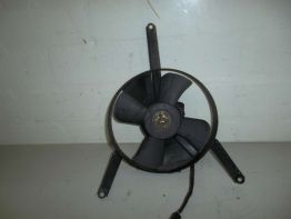Fan Suzuki GSX R 750