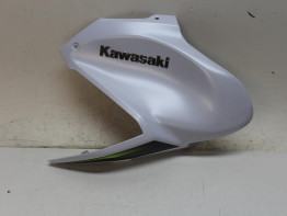 Tankschutz Kawasaki Z 900