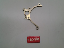 Overig Aprilia RSV 1000