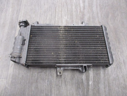 Radiateur BMW F 800 R