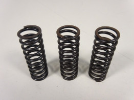 Kupplung Aprilia Tuono 660