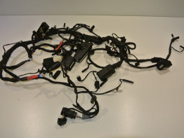 Kabelboom BMW R 1200 R