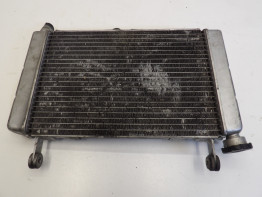 Radiateur Yamaha FZR 600