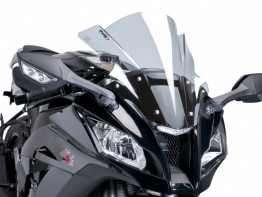 Kuipruit Kawasaki ZX 10 R