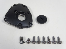Motorblokdeksel Yamaha FZ1