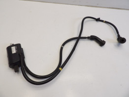 Bobine Yamaha XJ 900 S Diversion