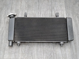 Radiateur CFMoto 650 MT