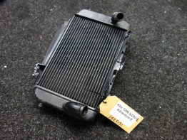 Radiateur KTM 1290 Super Adventure