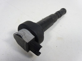 Bobine BMW K 1300 GT